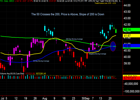 Forex gdynia