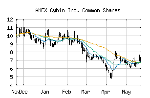 AMEX_CYBN