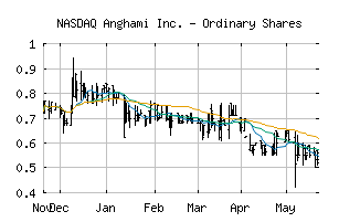 NASDAQ_ANGH