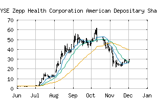 NYSE_ZEPP