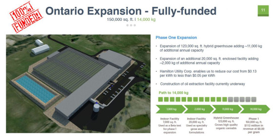 Canadian Cannabis IPO